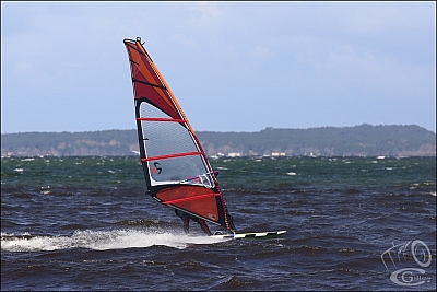 20180331_Sanguinet_009_w.jpg