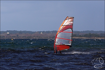 20180331_Sanguinet_025_w.jpg