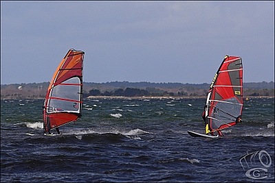 20180331_Sanguinet_043_w.jpg