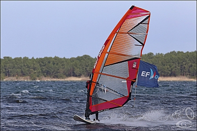 20180331_Sanguinet_059_w.jpg