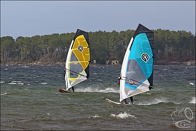 20180331_Sanguinet_260_w.jpg
