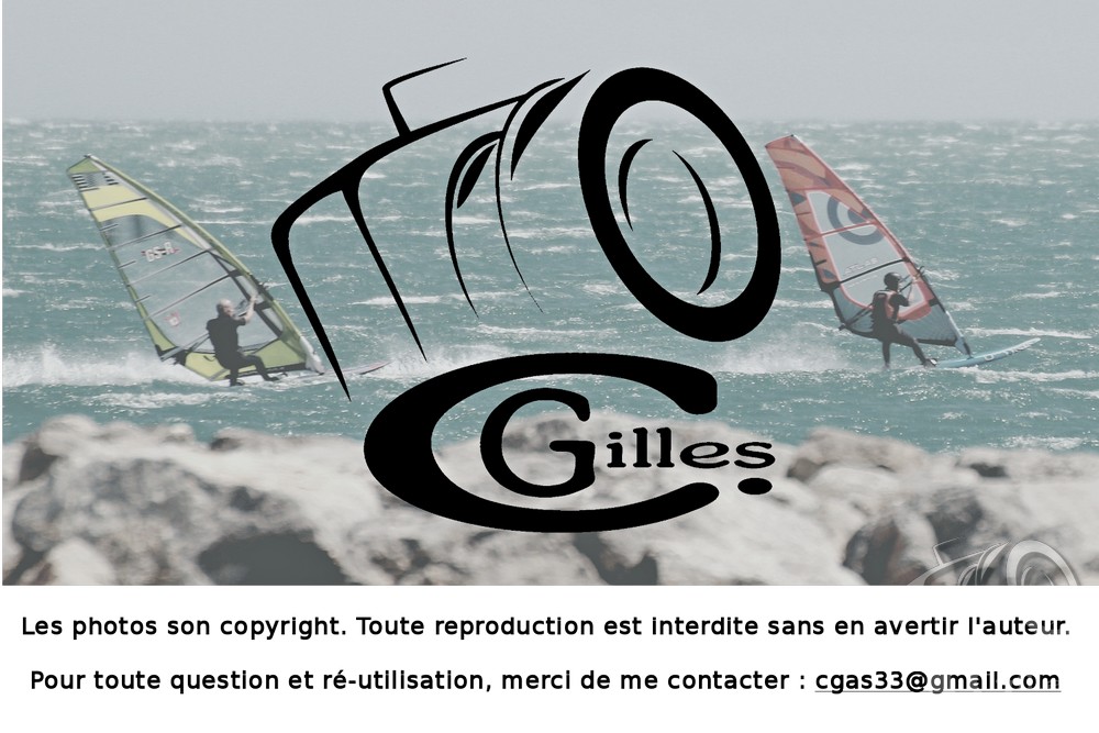20180509_DefiWind2018_420_w.jpg